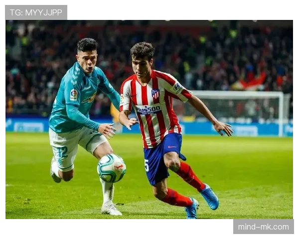 法马阵容深度解析：新赛季前景可期，挑战亦不容忽视