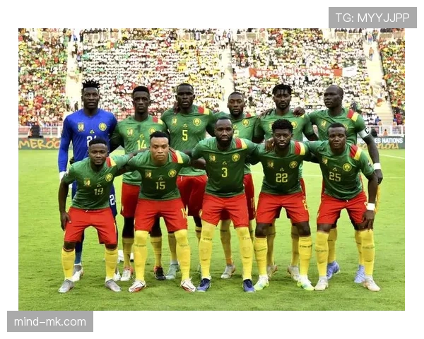 马里防守体系成非洲杯新标杆，稳健表现引广泛关注