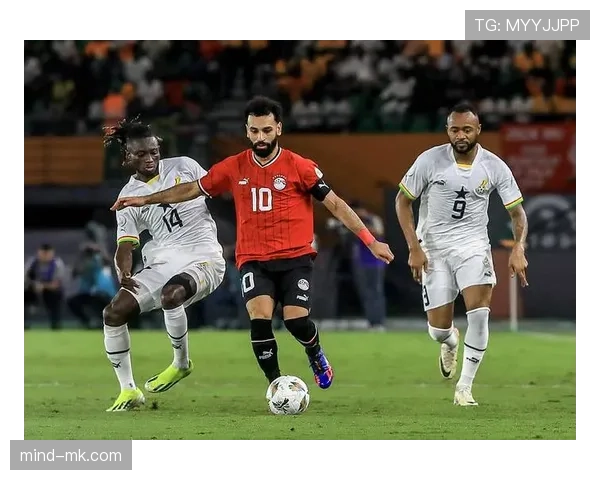 非洲国家杯赛事点评：最新赛况与球队表现分析