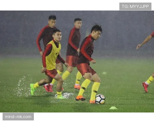 里皮执教理念:战术纪律、临场应变与攻守平衡解析