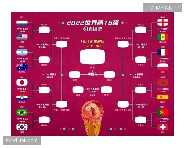 厄瓜多尔2026世界杯赛程解析：小组赛对手与晋级之路预测